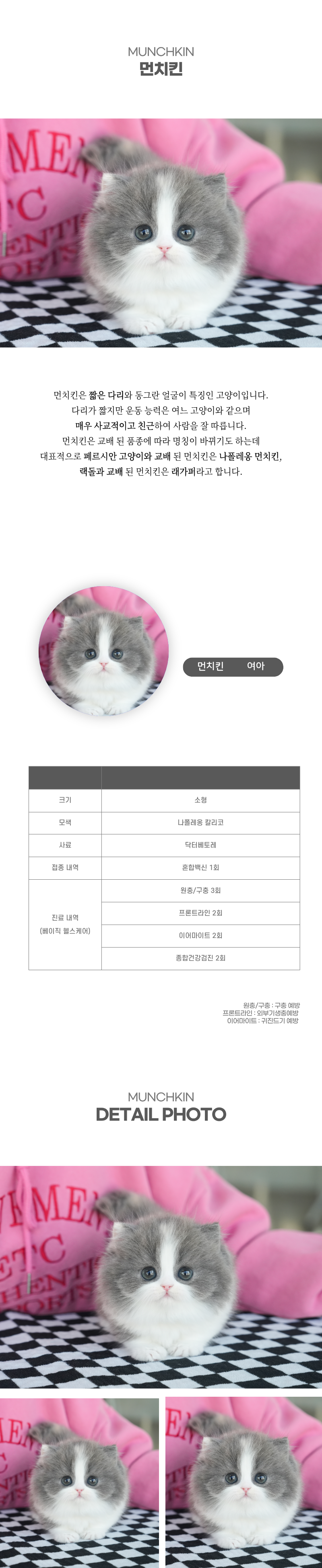 먼치킨_상세이미지_2